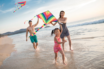 Happy young family flying a kite on beach