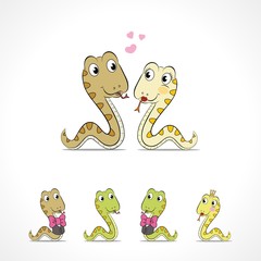Cartoon snake couple on white background