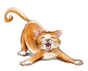 Gato jugando en acuarela