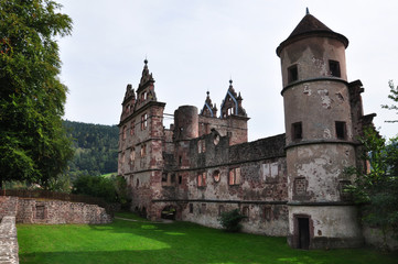 Fototapeta na wymiar old castle