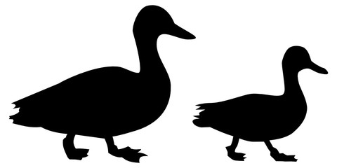 Black duck silhouettes from the side, in motion. Mallard dabbling ducks walking on the ground - slightly different outline vectors, graphic resources. Couple, group, siblings.