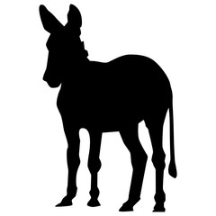 Silhouette of a domestic donkey standing up on its feet and looking forward, as seen from the back. Simple, black vector shape, graphic resource, eps 8.