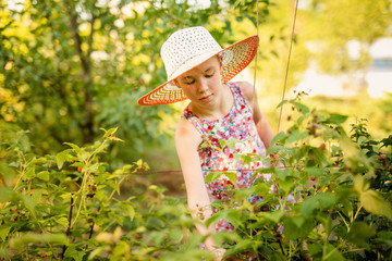 Little girl working in a small spring backyard garden with plants. Kid helping at the farm