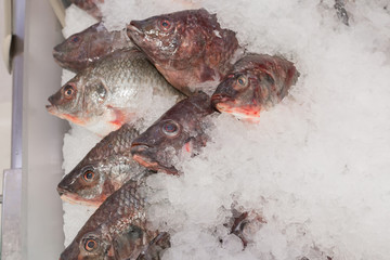 fish stall in market