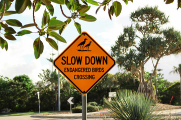 Endangered birds crossing slow down sign.