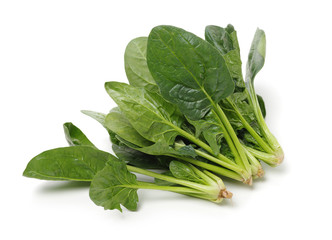 Spinach on white background