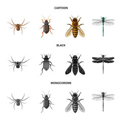 Isolated object of insect and fly icon. Collection of insect and element stock symbol for web.