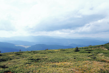Mountain landscape with green grass against the sky. Panoramic view of the cliffs without people. Wildlife on hills and altitude.