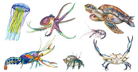 Colorful underwater animals.