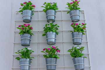 Italy, Ostuni, ornaments on a public wall.