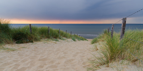 Pathway on a sand dune next to ocean at sunset