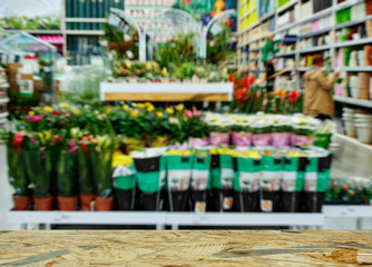 Shop of garden flowers. In the foreground is the top of a wooden table, counter.