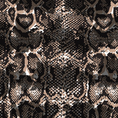 Animal print, leopard texture background