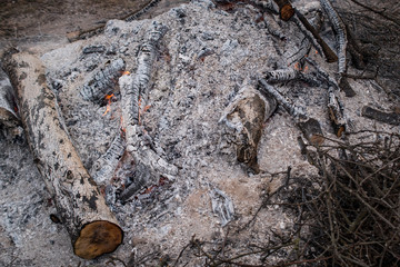 Bonfire, coals and ashes in the forest
