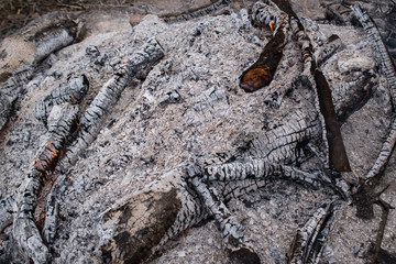 Bonfire, coals and ashes in the forest