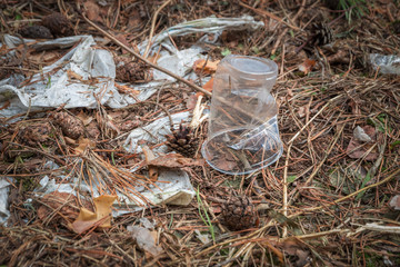 A transparent plastic Cup and a torn bag in the forest. Problem of ecology.