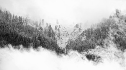 for&ecirc;t enneiger de montagne entre les nuage 