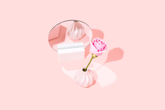 Pink Rose, Isolated with Copy Space 
