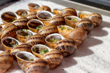 cooked snails, delicacy © Arkadiy