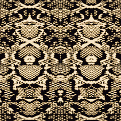 Animal print, leopard texture background