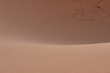 Footprints on desert sand