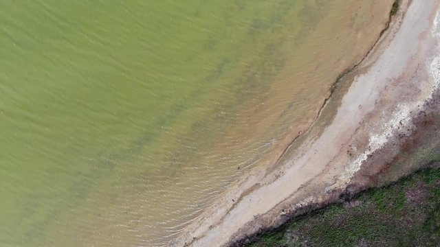 Kalmykia. Lake Manych. Coast.