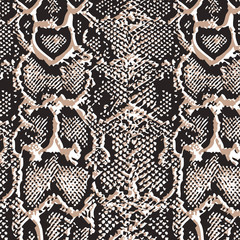 Animal print, leopard texture background