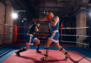 Two professional men kickboxers exercising kickboxing in the ring at the health club