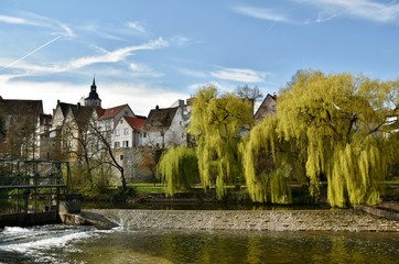 Landscape with weeping willows on the river Murr in Backnang in Spring