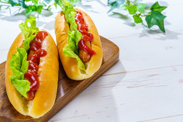 ホットドッグ