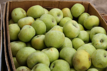 Fresh fruit in boxes. Market on the street. Green apples. 