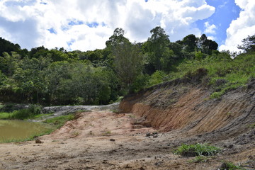 Fototapeta na wymiar Erosão em terreno de floresta