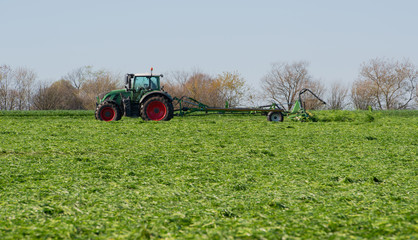 Landwirtschaftlicher Trecker kehrt Gras für die Heuernte