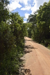 Fototapeta na wymiar Estrada de terra em paisagem rural. 