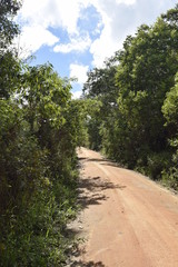 Estrada de terra em paisagem rural. 