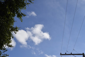 Céu azul com nuvem, fio elétrico e copa de árvore