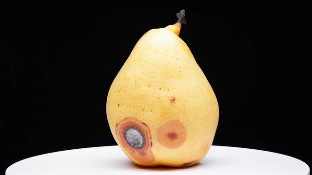overripe pear rotating and pause on black background