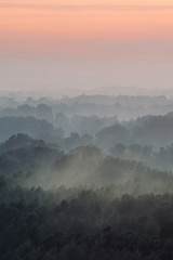 Fototapeta na wymiar Mystical view from top on forest under haze at early morning. Eerie mist among layers from tree silhouettes in taiga under predawn sky. Morning atmospheric minimalistic landscape of majestic nature.