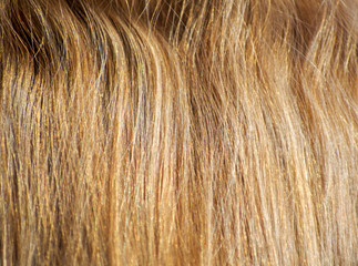 Naklejka premium The beautiful red hair as a background