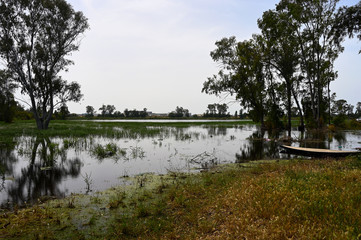 Sharon National Forest Park