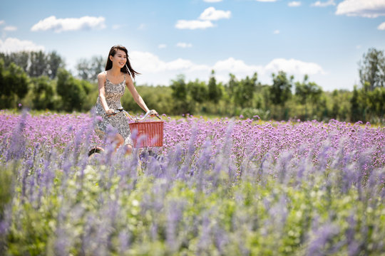 Happy young woman riding bike by lavender field