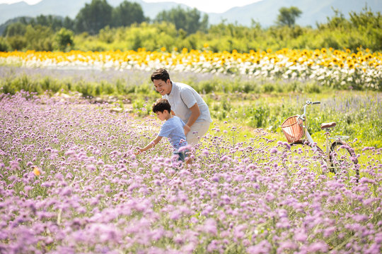 Father and son in flower field