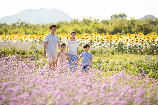 Happy young family in flower field