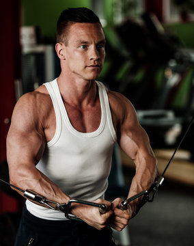 phisique fitness competitor works out in gym lifting dumbbells