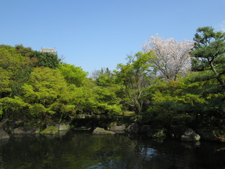 Fototapeta na wymiar 日本庭園