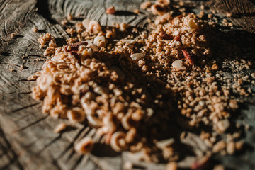 Close-up of cereals, muesli and nuts on a tree trunk. Sunlight