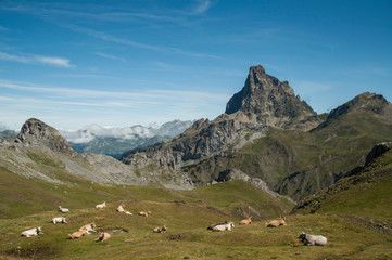Fototapeta na wymiar Paisaje de montaña con pradera y alta montaña al fondo