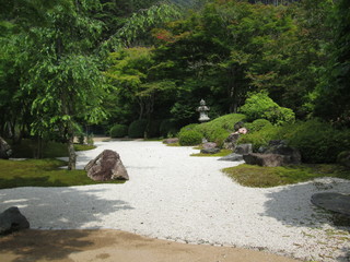 Fototapeta premium 日本庭園