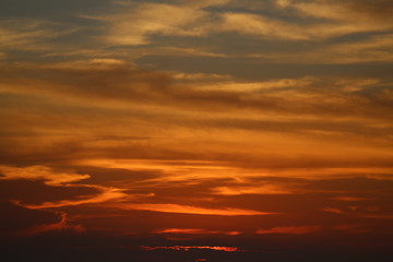 The morning on the beach provides a show of nature textures.