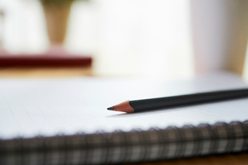 Pencil on journal or sketchbook